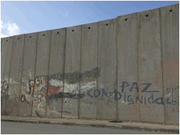 Photo 7 -Abu Dis Head Mural - Palestine 2018- Photo by Amal Eqeiq.jpg